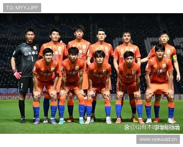 山东泰山阵容经验丰富，但年龄结构是否面临老化压力？