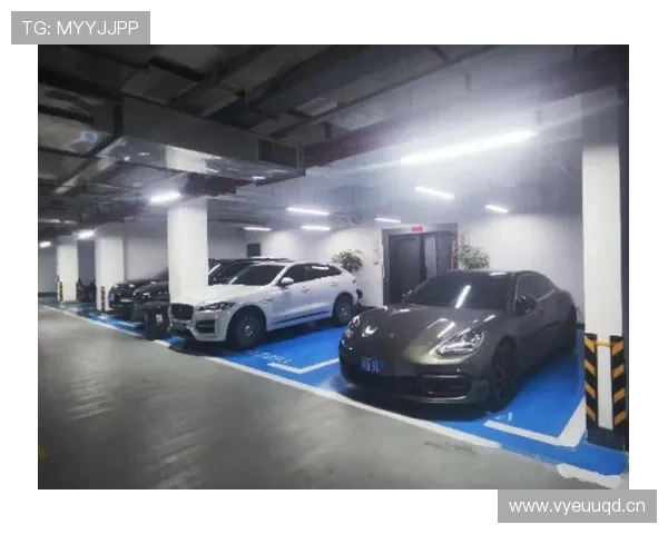 张家齐训练结束就直奔豪车，别告诉我他家车库不比明星少？