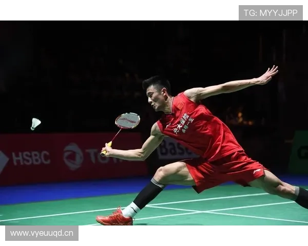 谌龙退役后天天五点起床遛狗，这自律谁懂啊